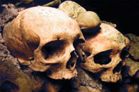 Catacombs of Paris