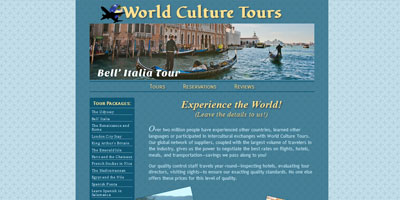 WCT website homepage